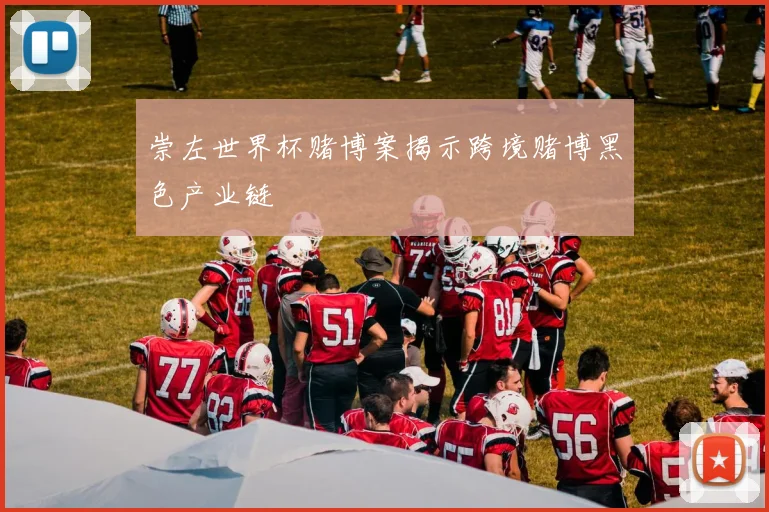 崇左世界杯赌博案揭示跨境赌博黑色产业链
