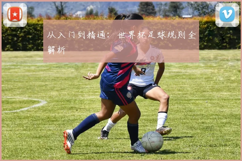 从入门到精通：世界杯足球规则全解析