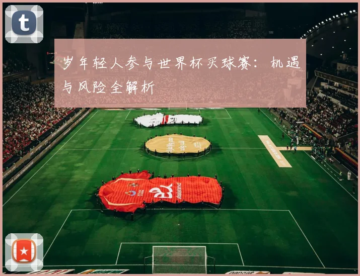 岁年轻人参与世界杯买球赛：机遇与风险全解析