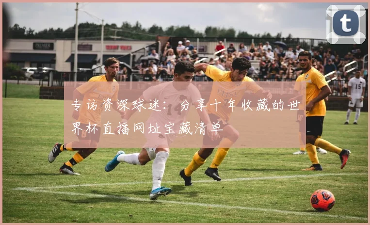 专访资深球迷：分享十年收藏的世界杯直播网址宝藏清单