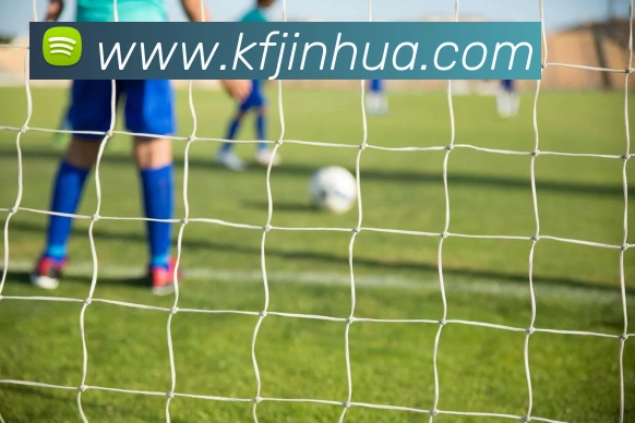 开云app登陆平台生态图